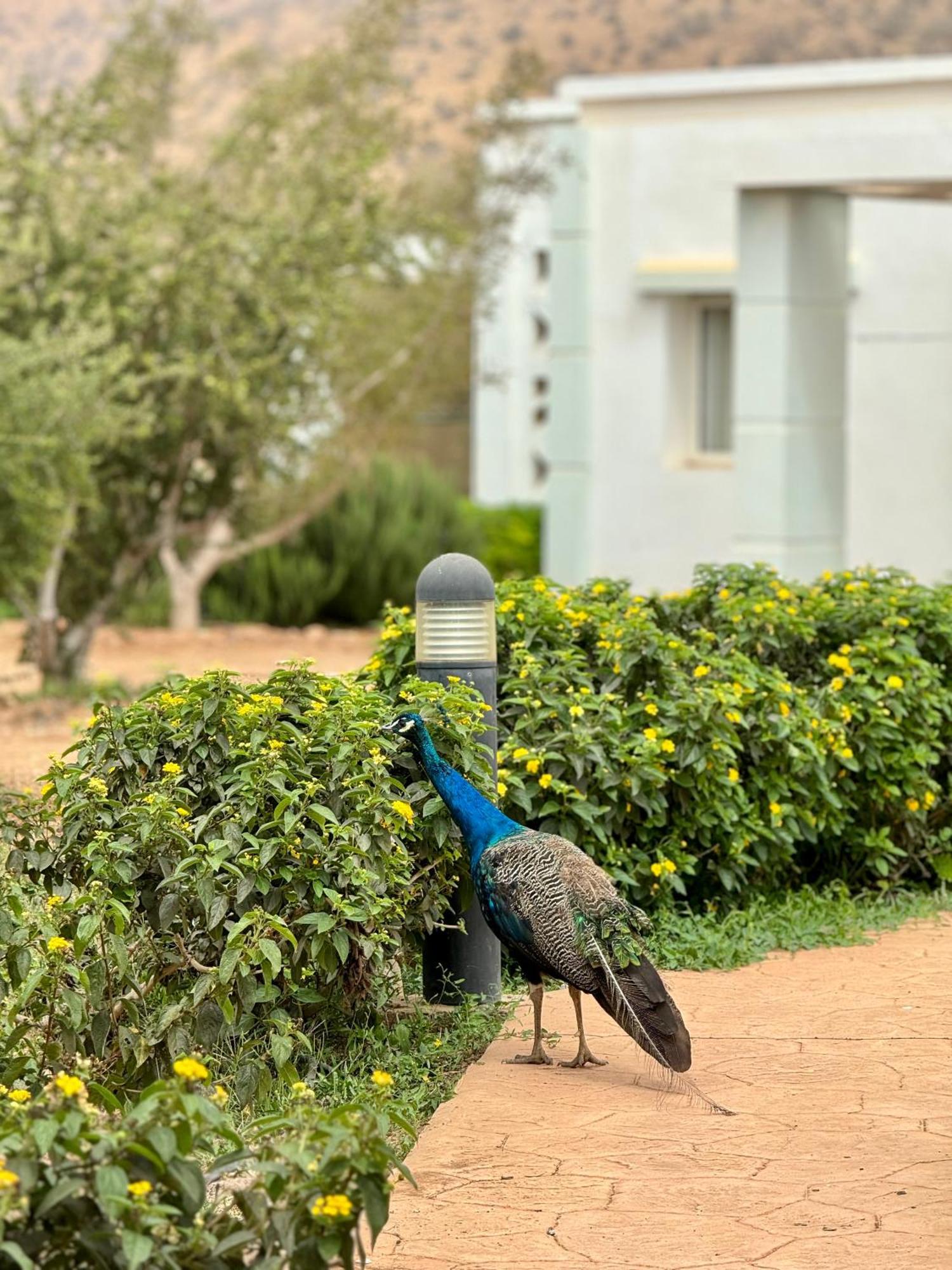 Lunja Village - Agadir Imi Ouaddar Exterior foto